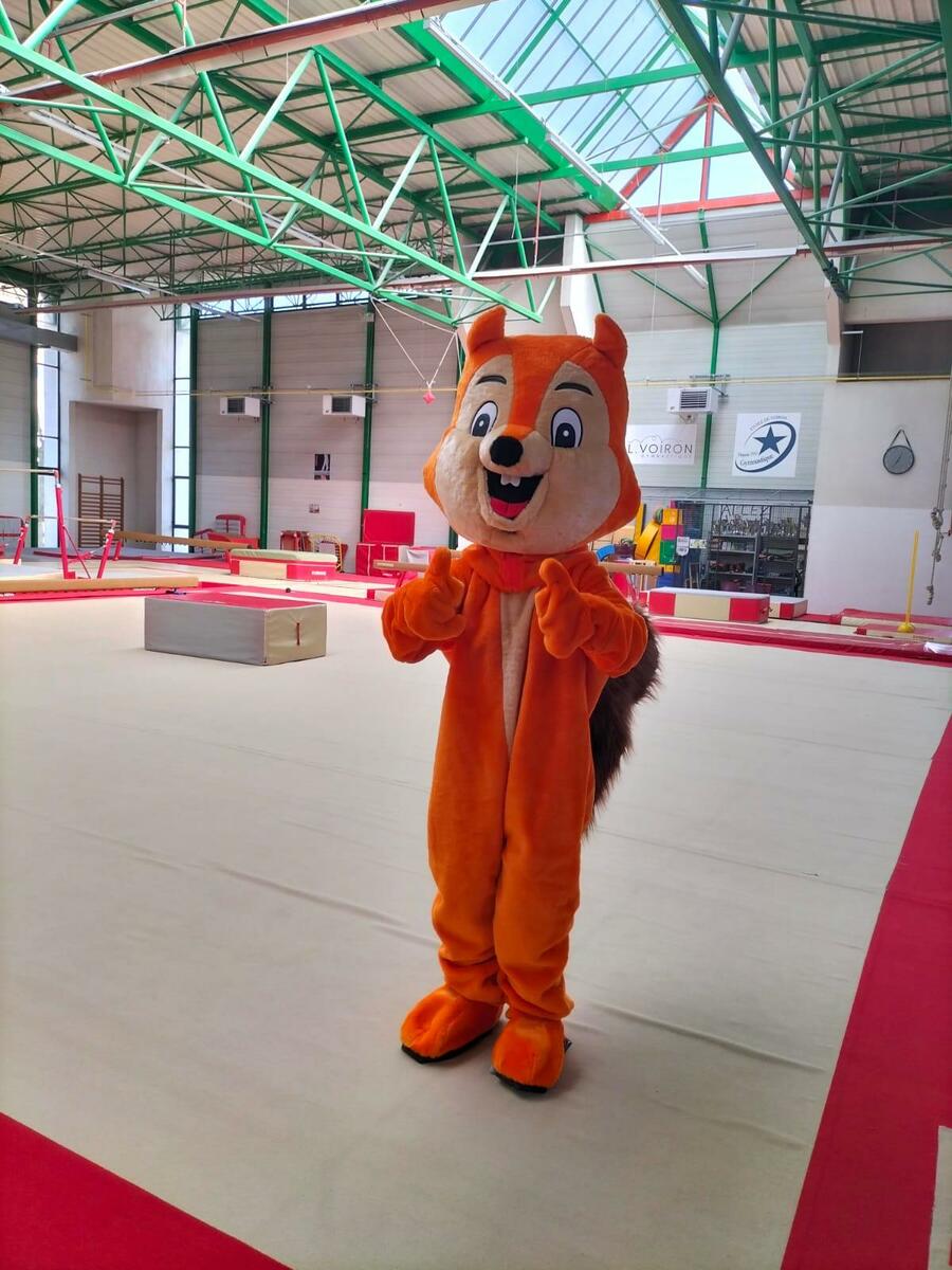Mascotte  ALV Gym